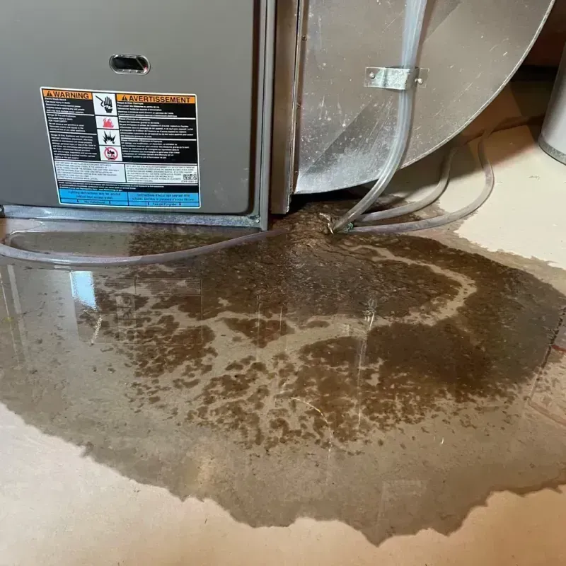 Appliance Leak Cleanup in Venersborg, WA